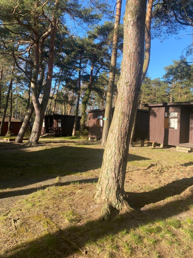 Domki Szumi Las Villa Mrzeżyno Eksteriør billede
