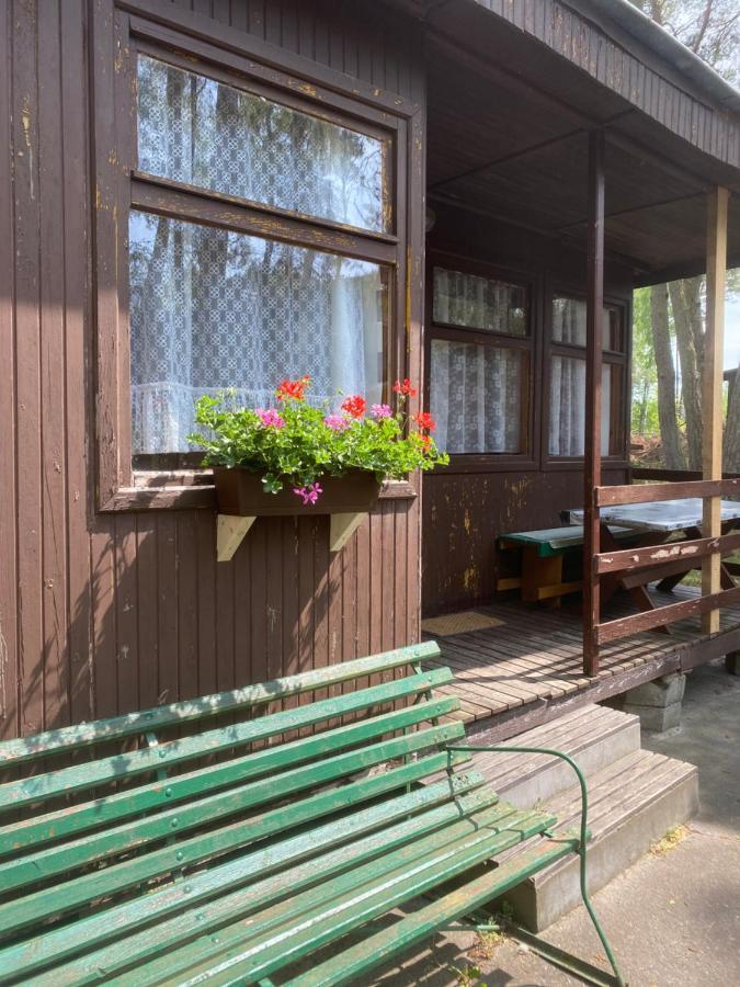 Domki Szumi Las Villa Mrzeżyno Eksteriør billede