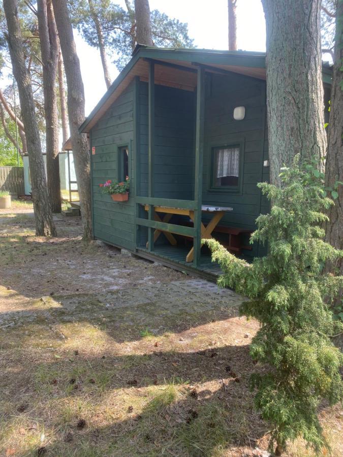 Domki Szumi Las Villa Mrzeżyno Eksteriør billede