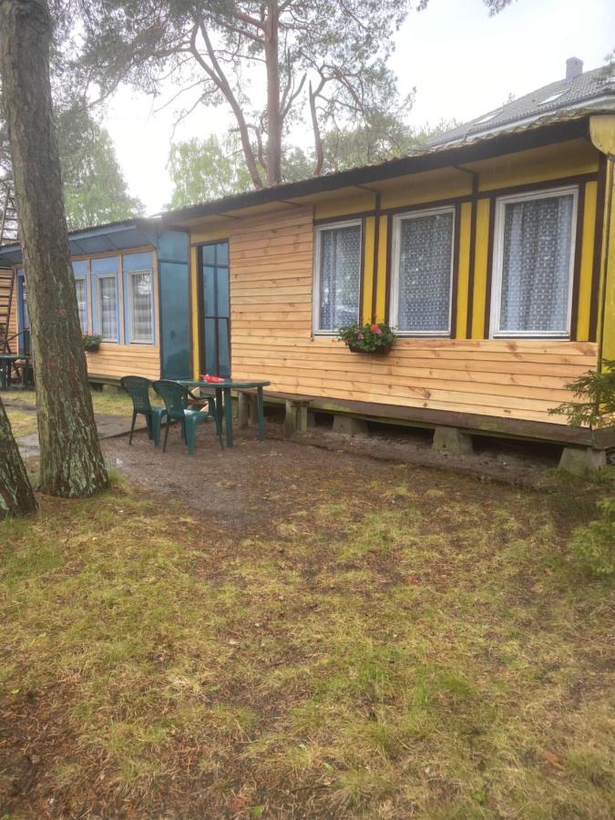 Domki Szumi Las Villa Mrzeżyno Eksteriør billede